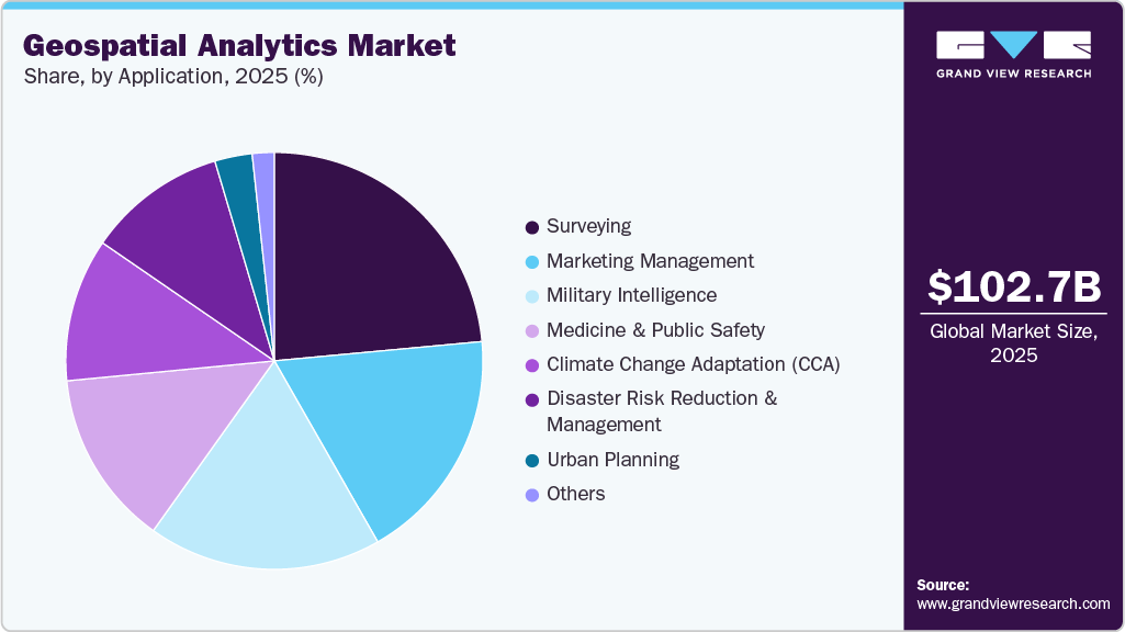 Geospatial Analytics Market Share Geospatial Analytics Market Share