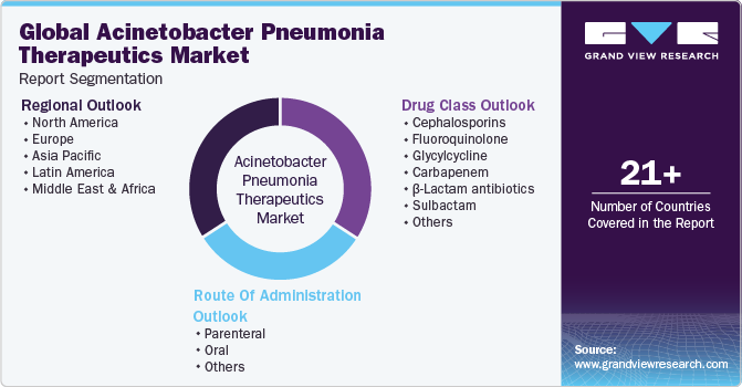 Global Acinetobacter Pneumonia Therapeutics Market Report Segmentation
