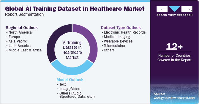 Global AI Training Dataset in Healthcare Market Report Segmentation