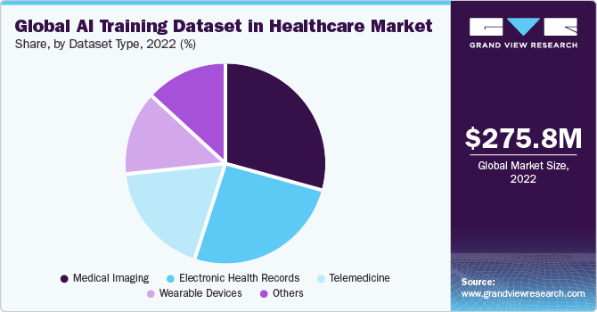 Global AI Training Dataset in Healthcare Market share and size, 2022