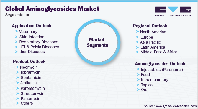 Global Aminoglycosides Market Segmentation