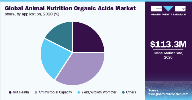 Global animal nutrition organic acids market share, by application, 2020 (%)