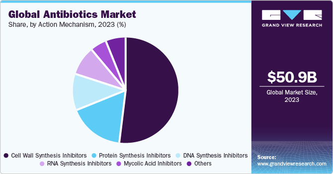Global antibiotics market share, by drug class, 2020 (%)