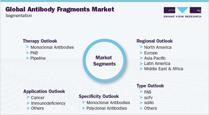 Global Antibody Fragments Market Segmentation