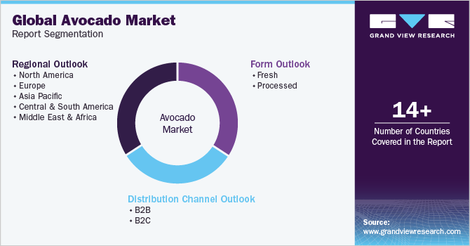 Global Avocado Market Report Segmentation
