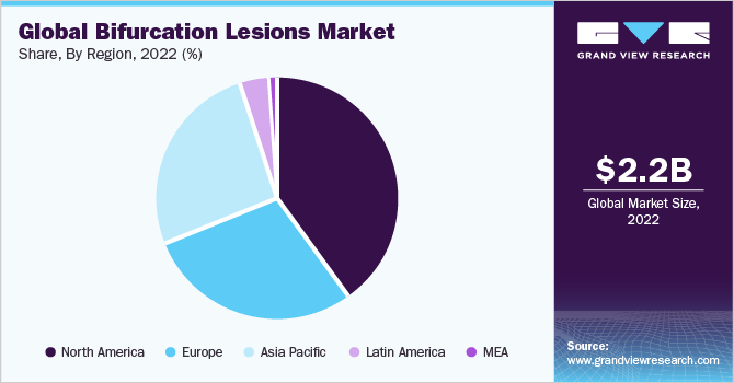 Global bifurcation lesions Market share and size, 2022