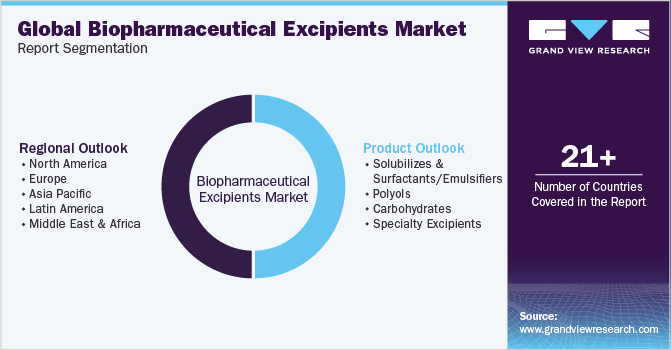 Global Biopharmaceutical Excipients Market Report Segmentation