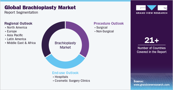Global Brachioplasty Market Report Segmentation
