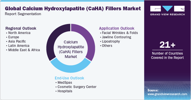 Global Calcium Hydroxylapatite Fillers Market Report Segmentation