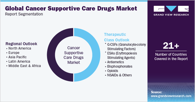 Global Cancer Supportive Care Drugs Market Report Segmentation