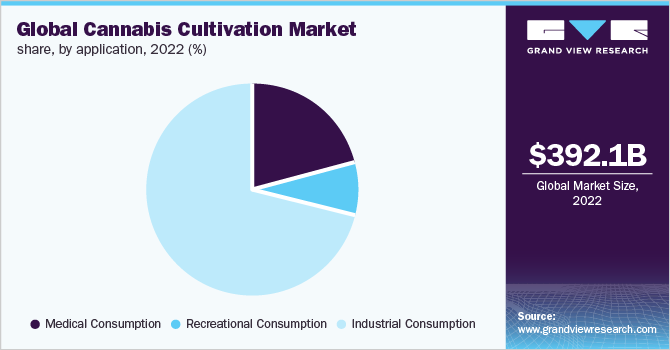 Global cannabis cultivation market share, by application, 2022 (%)