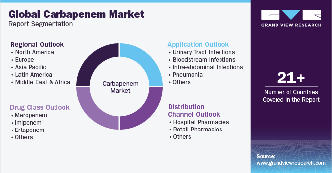 Global Carbapenem Market Report Segmentation Global Carbapenem Market Report Segmentation