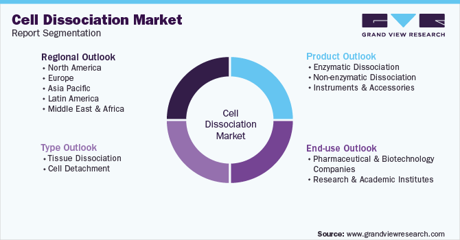 Global Cell Dissociation Market Segmentation