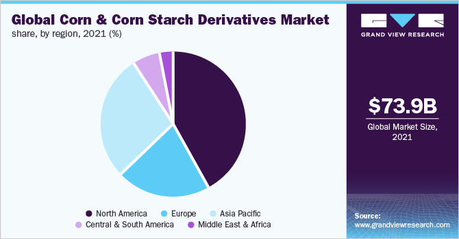 Global corn & corn starch derivatives market share, by region, 2021 (%)
