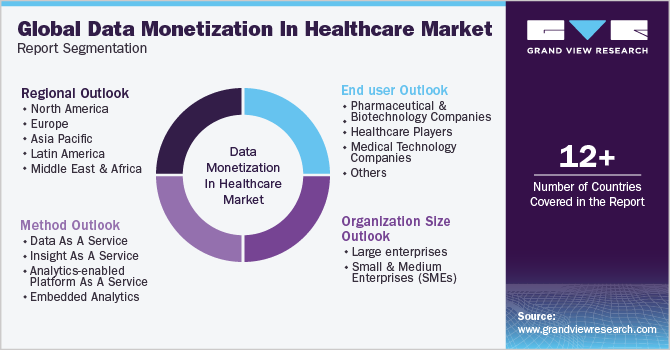Global Data Monetization In Healthcare Market Report Segmentation