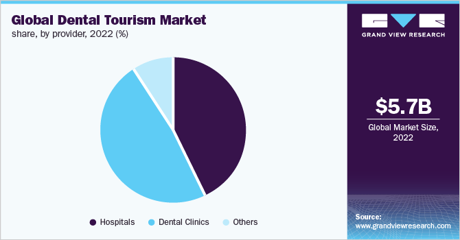  Global dental tourism market share, by provider, 2022 (%)