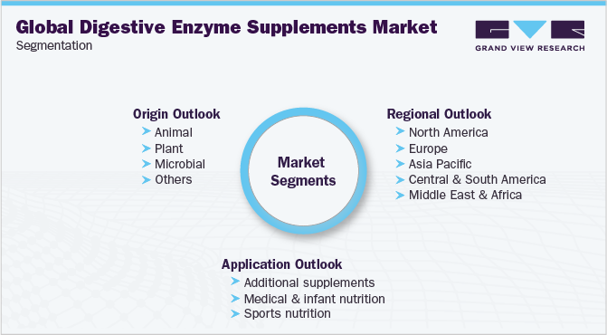 Global Digestive Enzyme Supplements Market Segmentation