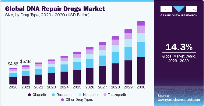 Global DNA Repair Drugs Market Size, By Drug Type, 2020 - 2030 (USD Billion)