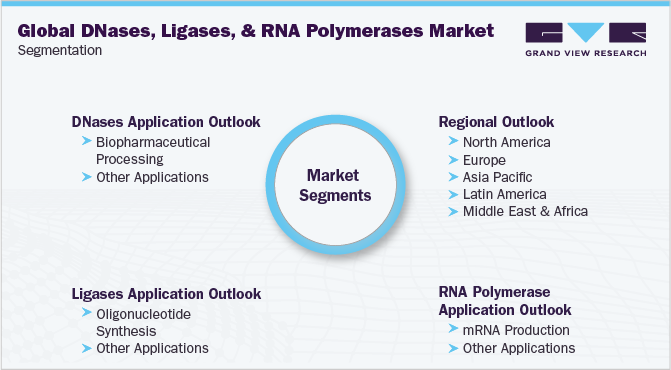 Global DNases, Ligases, And RNA Polymerases Market Segmentation
