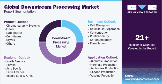 Global Downstream Processing Market Report Segmentation