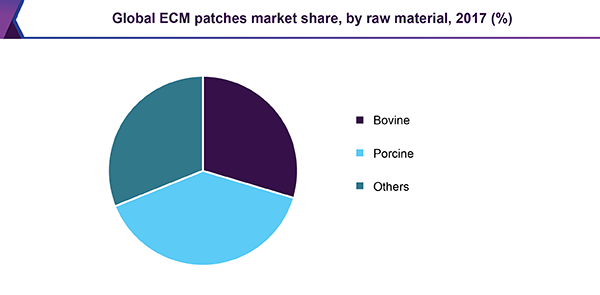 Global ECM patches market share, by raw material, 2017 (%)