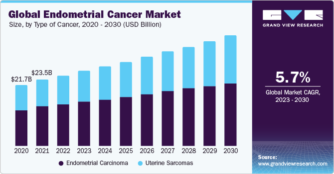 Global endometrial cancer market size, by type of cancer, 2020 - 2030 (USD Billion)