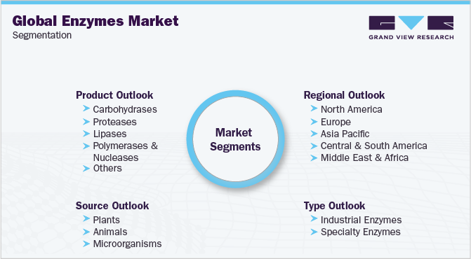 Global Enzymes Market Segmentation