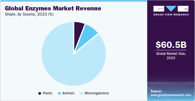 Global enzymes market share and size, 2022