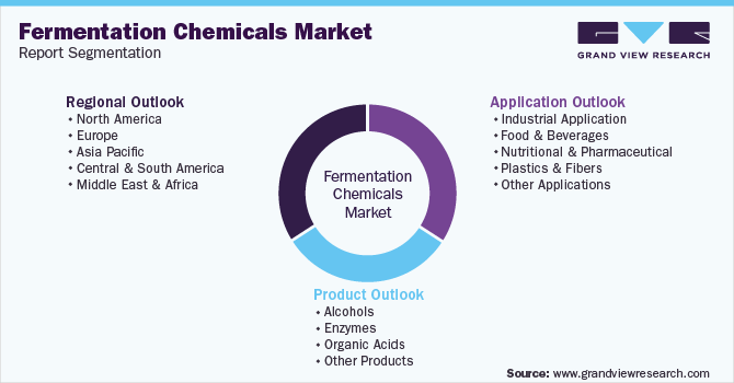 Global Fermentation Chemicals Market Segmentation