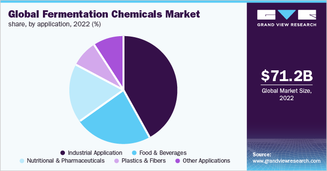 Global fermentation chemicals market share, by application, 2022 (%)