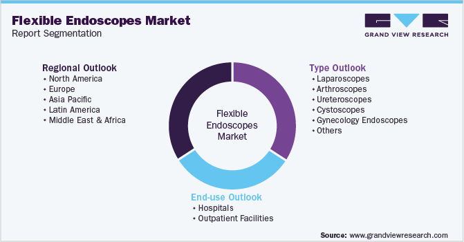 Global Flexible Endoscopes Market Report Segmentation