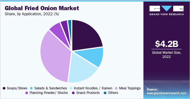 Global Fried Onion market share and size, 2022