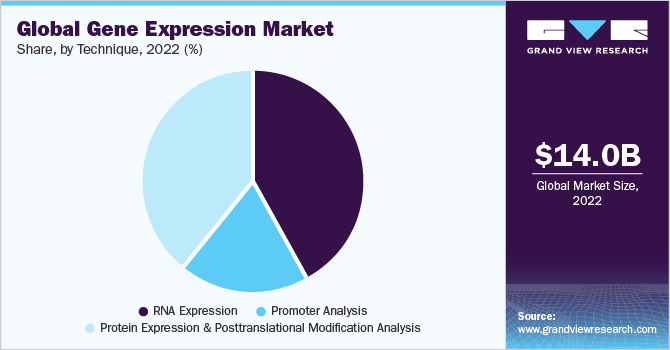 Global gene expression market share, by application, 2020 (%)