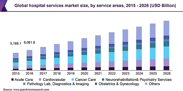 Global hospital services market