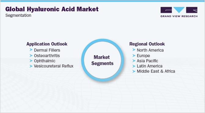 Global Hyaluronic Acid Market Segmentation