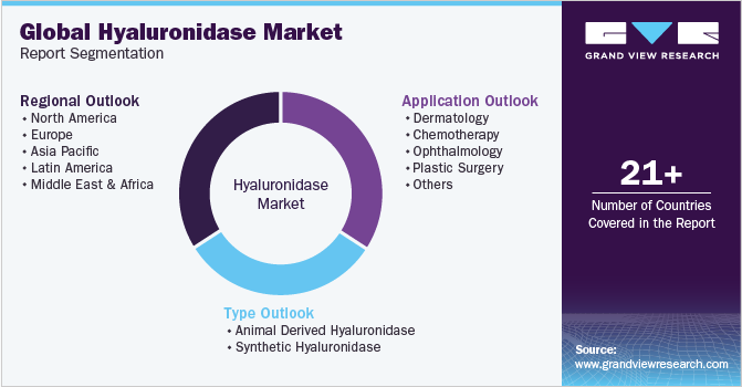 Global Hyaluronidase Market Report Segmentation