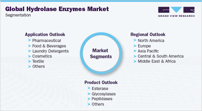 Global Hydrolase Enzymes Market Segmentation
