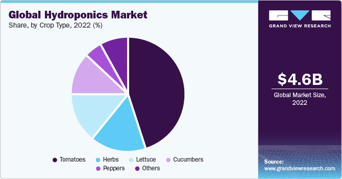 Global hydroponics market share, by type, 2018 (%)