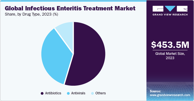 Global infectious enteritis treatment market share, by drug type, 2023 (%)