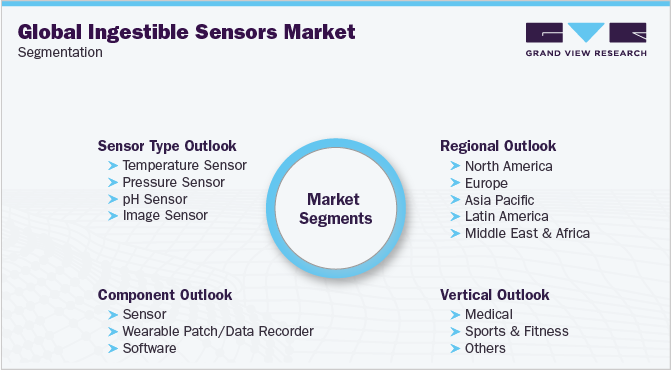 Global Ingestible Sensors Market Segmentation