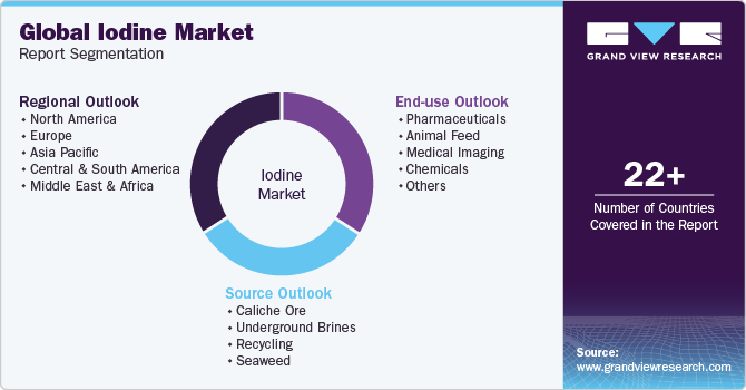 Global Iodine Market Report Segmentation