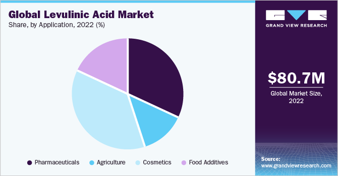 Global levulinic acid market share and size, 2022