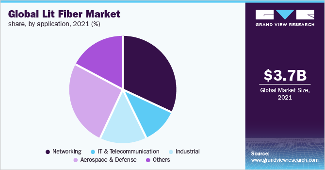 Global lit fiber market share, by application, 2021 (%)