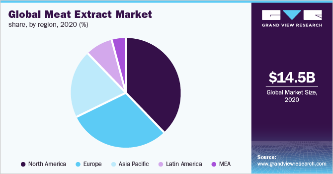 Global meat extract market share, by region, 2020 (%)