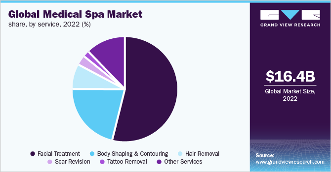  Global medical spa market share, by service, 2022 (%)