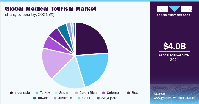 global medical tourism market