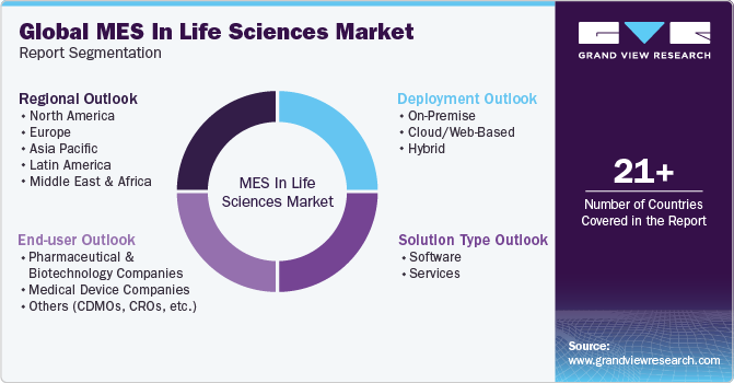 Global MES in Life Sciences Market Report Segmentation