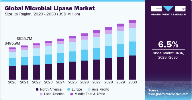 Global Microbial Lipase Market Size, By Region, 2020 - 2030 (USD Million)