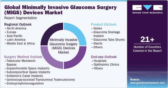 Global Minimally Invasive Glaucoma Surgery (MIGS) Devices Market Report Segmentation