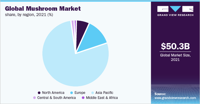  Global mushroom market share, by region, 2021 (%),